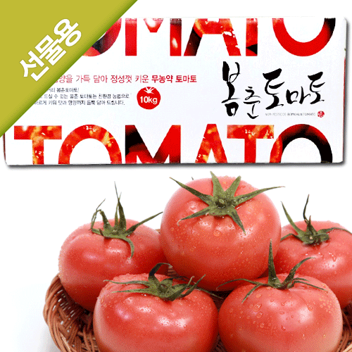 (15일발송예정) 무농약 선물용 토마토 10kg