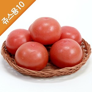 명인무농약 토마토 쥬스용 10kg (비품,혼합)